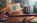TooGoodToGo_5484.jpg